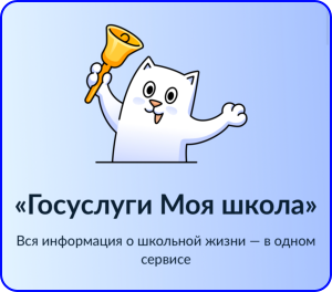 my school